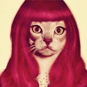 Meet your Posher, Sofia